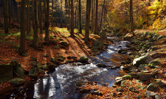 Landkreis Harz