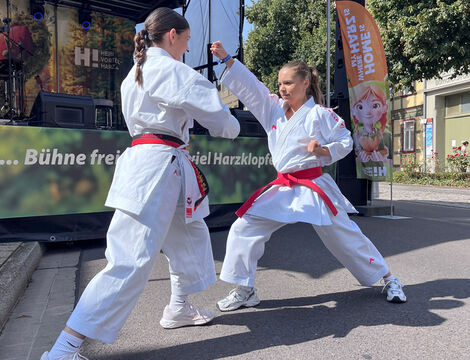 Yamakawa Karate-Do Ballenstedt