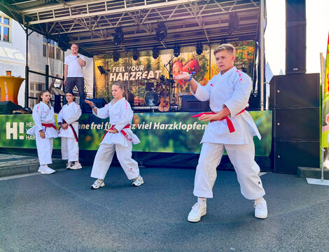 Yamakawa Karate-Do Ballenstedt