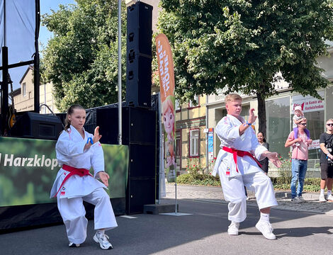 Yamakawa Karate-Do Ballenstedt